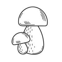 Cute edible mushroom in doodle style. Ingredients for cooking, salads. Autumn plant harvesting. Vector isolated hand drawn illustration for coloring pages, sketch, outline