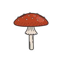 Cute mushroom in doodle style. Poisonous mushroom, fly agaric, toadstool. Vector isolated hand illustration