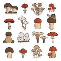 Set of cute doodle mushrooms. Edible and Poisonous mushrooms, fly agaric, toadstool, porcini mushroom. Vector hand illustration