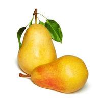 Two ripe yellow pears isolated on white background photo
