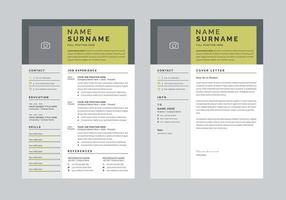 Professional Resume Layout and Curriculum Vitae template one page vector