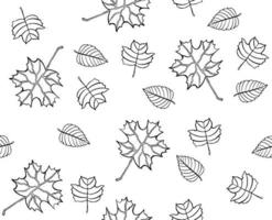 Autumn leaves pattern, seamless background and illustration vector