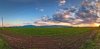 Panorama of field and mountain in the background photo