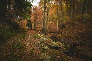 River in the mountain photo