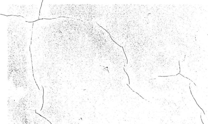 Dirty grainy stamp and scratches overlay white background. Grunge distressed dust particle white and black. Vector illustration