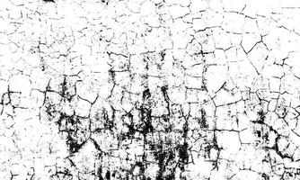 Grunge distressed dust particle white and black. Abstract overlay white background. vector
