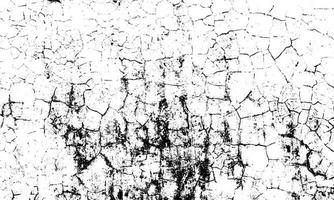 Grunge distressed dust particle white and black. Abstract overlay white background. vector