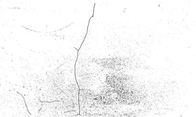 Dirty grainy stamp and scratches overlay white background. Grunge distressed dust particle white and black. Vector illustration