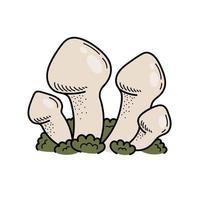 Cute mushroom in doodle style. Poisonous mushroom. Vector isolated hand illustration