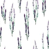 Spring watercolor seamless pattern with blooming lavender flowers. Vector illustration of the website background with cosmetics, floral fragrances