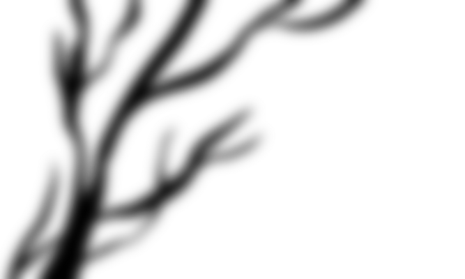 Shadow PNG Free Images with Transparent Background - (5,127 Free Downloads)