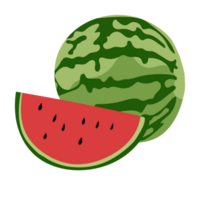 fruta de sandía fruta en una ilustración simple con color degradado png