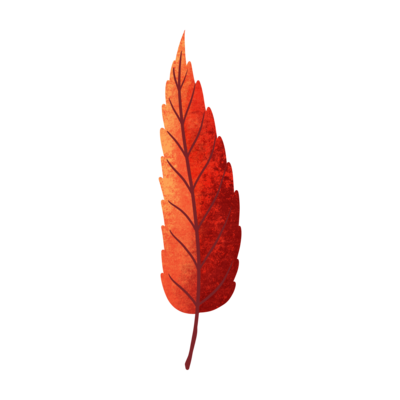 Orange Leaf PNGs for Free Download