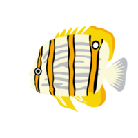 illustration de poisson corail. le dessin à la main de la vie sous-marine. adorables et beaux poissons de la vie marine.