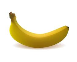 banana yellow with shadow on white background vector