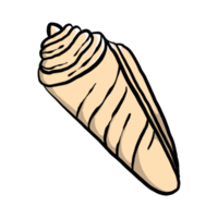 handgezeichnete Muschelillustrationen png