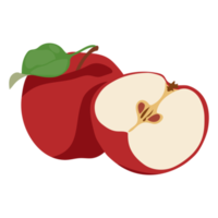 pomme fruit. fruit dans une illustration simple avec dégradé de couleur png
