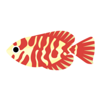 ilustração de peixe coral png