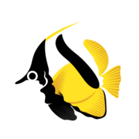 longfin bannerfish or pennant coralfish. collection set of coral fish illustration. the hand drawing of under the sea life. adorable and beautiful fishes of marine life. png