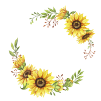 Sunflower wreath, round frame of yellow flowers, hand drawn watercolor illustration