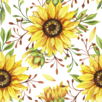 sunflowers seamless  pattern png