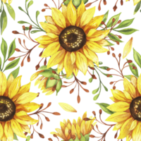 nahtloses muster der sonnenblumen png