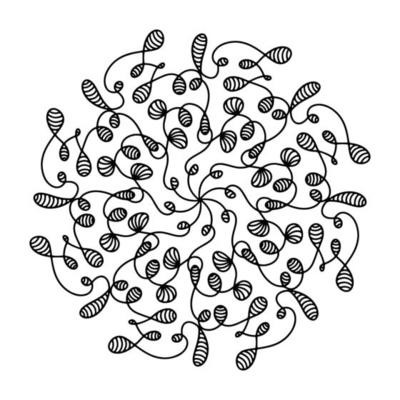 Spider Coloring Page Vector Art, Icons, and Graphics for Free Download