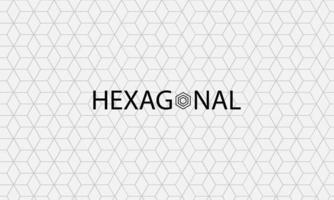 minimalist hexagonal line pattern background vector