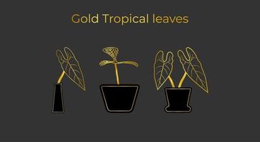 conjunto de hojas tropicales doradas vector