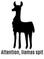 Attention llama split, silhouette of a llama and an inscription about careful behavior vector