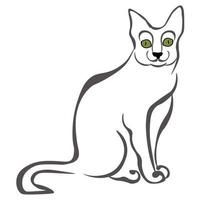 gato korat, retrato estilizado de una mascota doméstica vector