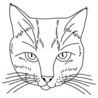 retrato de gato de contorno, bozal de un gatito en un estilo lineal vector