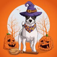jack russell terrier disfrazado de halloween parado en una escoba y usando sombrero de bruja con calabazas vector