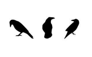 Silhouettes of crows. Vector illustration.