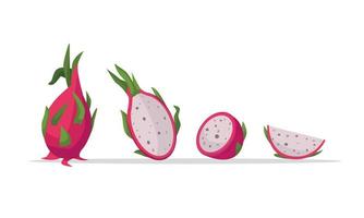 Tropical Mexican fruit for a healthy diet. dragon fruit. Vector cartoon illustration