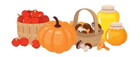 Autumn harvest of pumpkins, apples, mushrooms basket, honey. vector