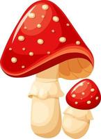 Fly agaric, autumn mushrooms, large and small mushrooms in cartoon style vector