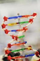 dna chain spiral photo