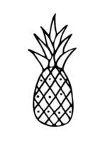 Pineapple symbol icon. Hand drawn black and white pineapple doodle vector