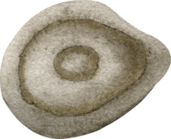 guijarro de acuarela con textura. ilustración marrón. piedra. png