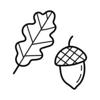 Acorn with oak leaf. Hand drawn sketch icon of autumn botanical element. Isolated vector illustration in doodle line style.