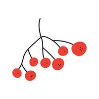 Rowanberry. Hand drawn sketch icon of twig with berrie. Isolated vector illustration in doodle line style.