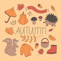 conjunto vectorial de suéter de iconos de otoño, hojas que caen, calabaza, erizo lindo y ardilla. linda colección vectorial de elementos de la temporada de otoño. hola conjunto de elementos de otoño, vector