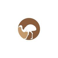 ostrich icon  vector