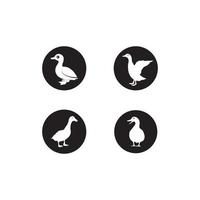 vector de logotipo de pato