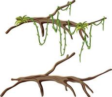 Tree branches with liana isolated vector