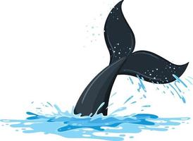 Tail of whale in the water vector