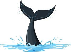 A tail of a whale in the water vector