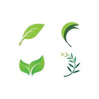 Leaf icon vector illustration symbol design