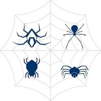 Spider icon  vector